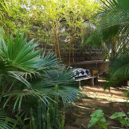 Harvest House Nicaragua Leon Exterior photo