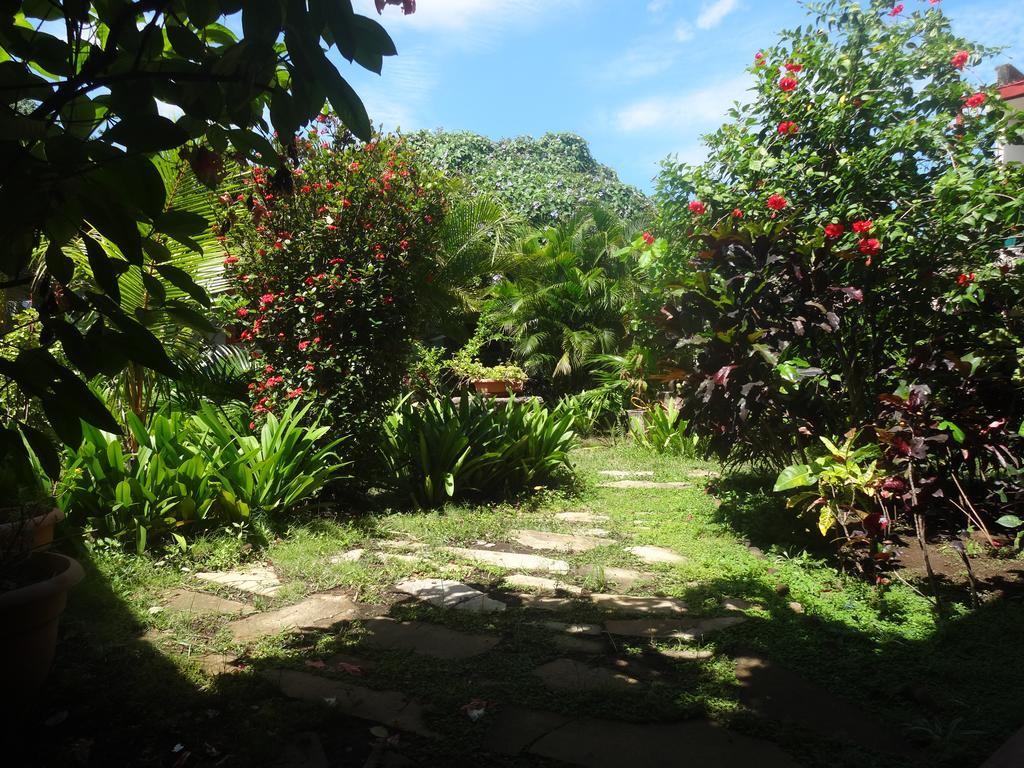 Harvest House Nicaragua Leon Exterior photo