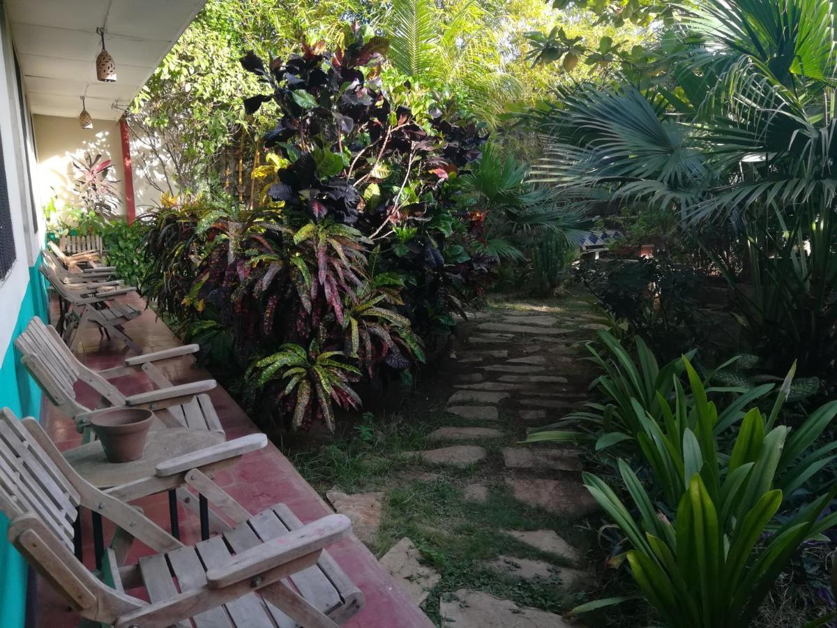 Harvest House Nicaragua Leon Exterior photo